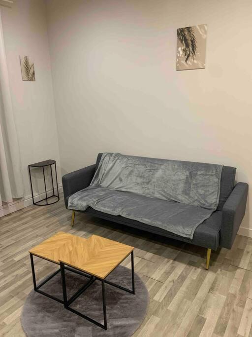 Chez Maryline-Joli T2 Spacieux Villeurbanne Extérieur photo